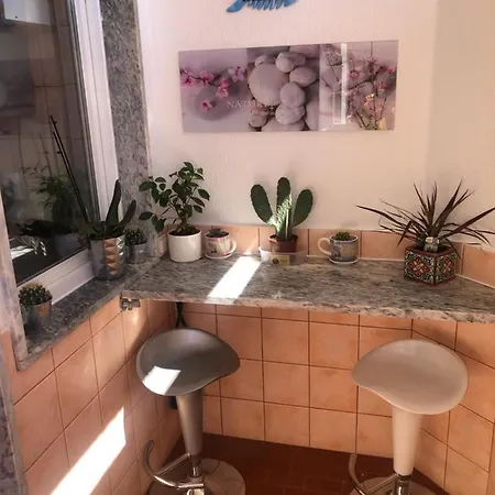 Casa Da Avenida 아파트